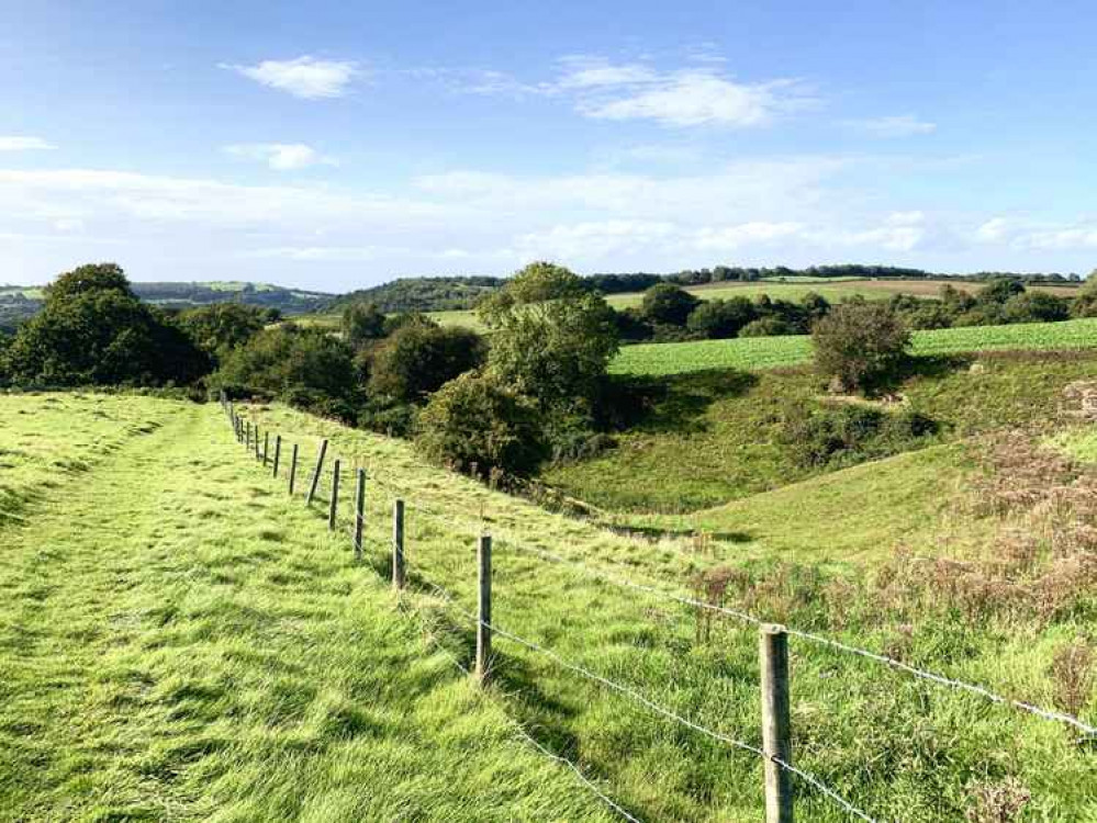 Climbing back up towards Manley Road, you get a beautiful view of the fields and woodland. Climbing back up towards Manley Road, you get a beautiful view of the fields and woodland.