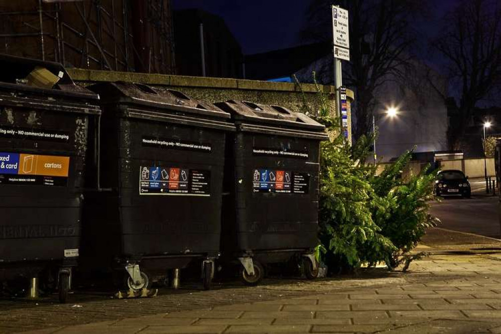 The council is urging residents to leave trees by their bins for collection (credit: Chris Marchant)