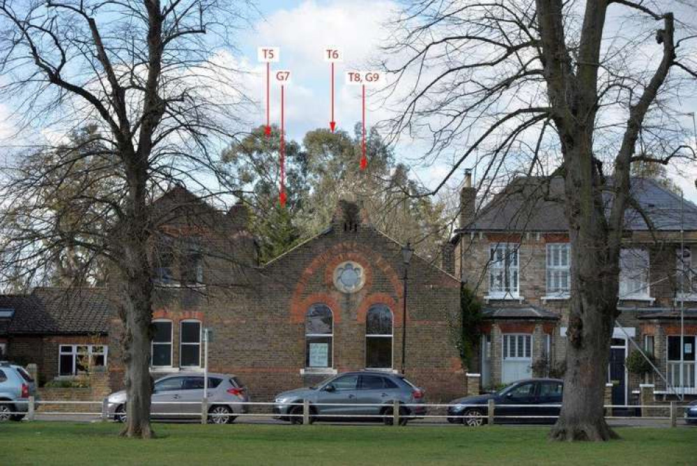 A developer has been given permission to fell five trees on a site near Twickenham Green, by council planning officials. A developer has been given permission to fell five trees on a site near Twickenham Green, by council planning officials.