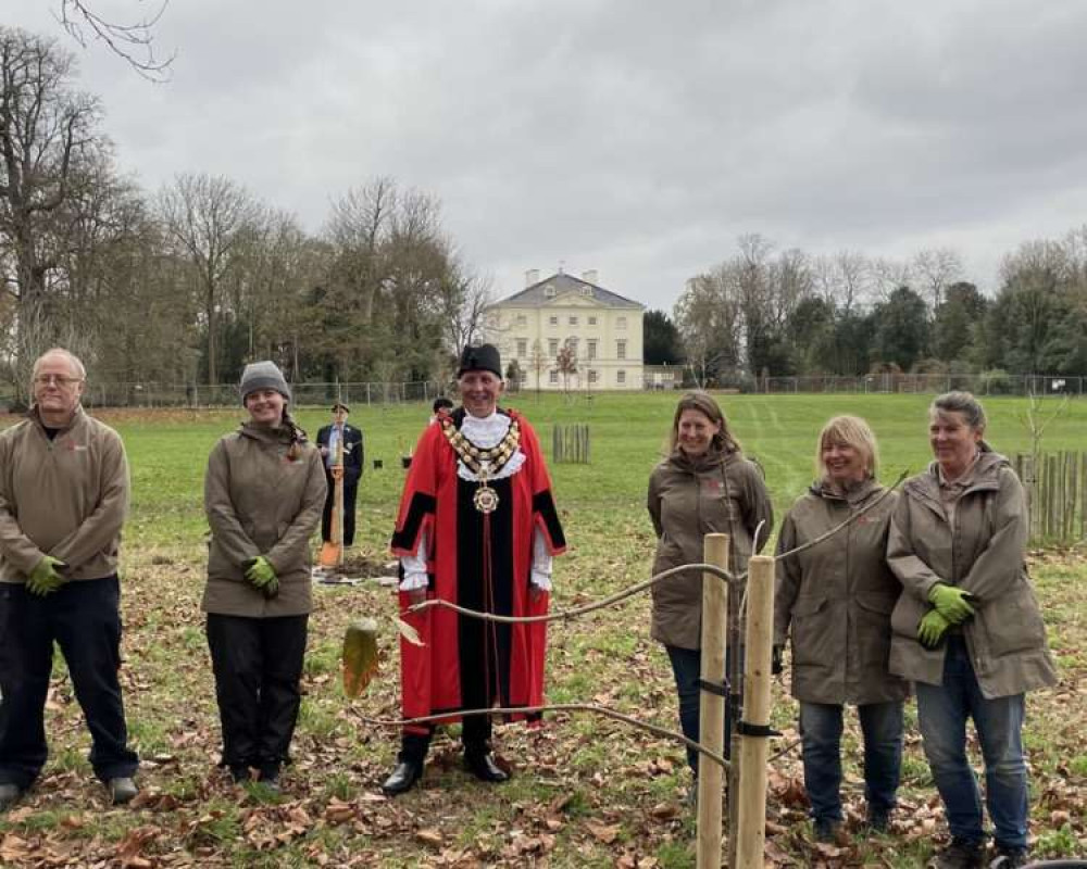 14 trees have already been planted in Richmond borough for the Queen's Platinum Jubilee - including at Marble Hill park (Image: Queen's Green Canopy)