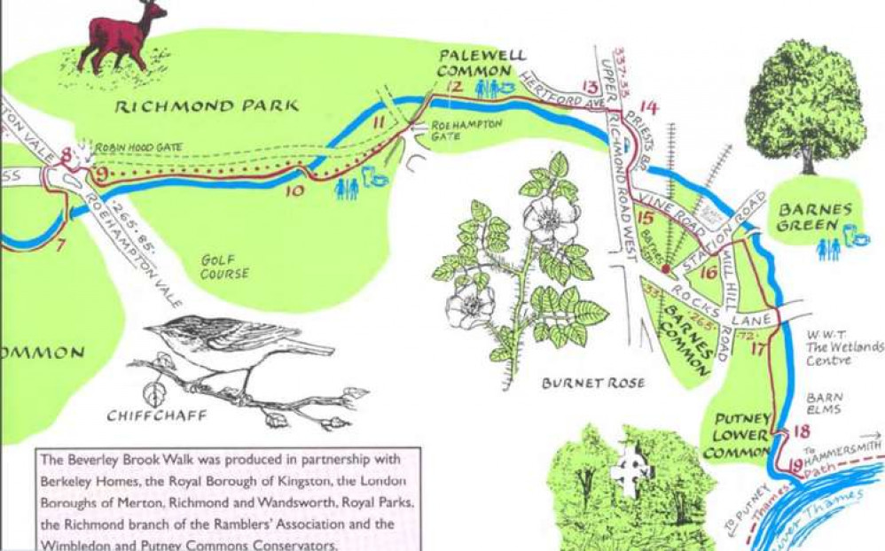 The historic brook, which has been at the centre of regeneration project led by Sir David Attenborough, runs through Wimbledon Common, Richmond Park and Barnes, past the renowned Wildfowl & Wetlands Trust site, to the Thames.