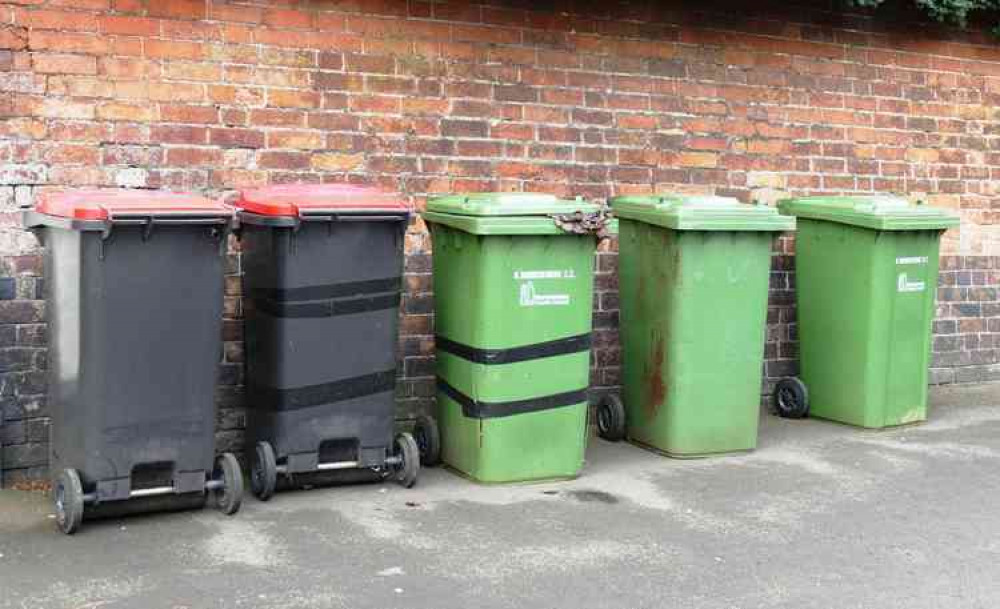 Green bins: Staying in the back garden for a month