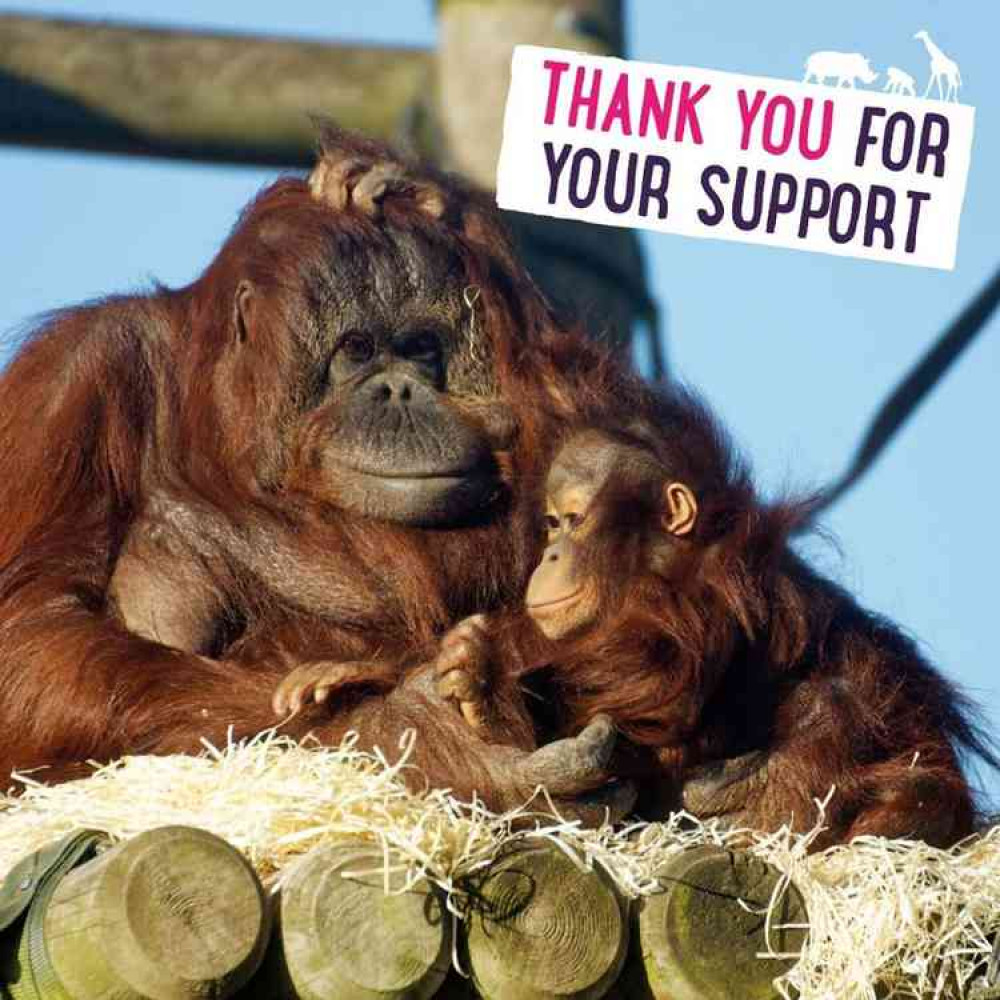 Appeal: Zoo grateful for public support