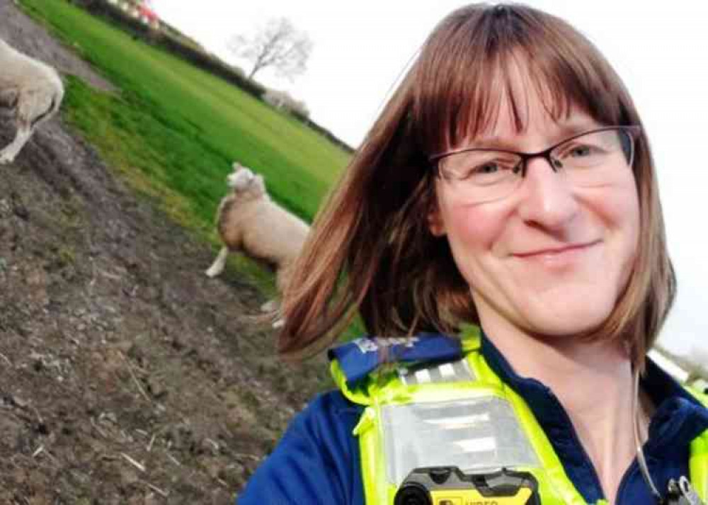 Among friends: PCSO Sarah Fretter checking on livestock