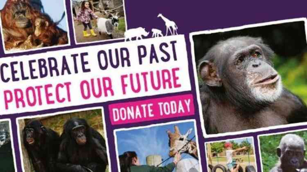 Closed gates: World-famous Twycross Zoo