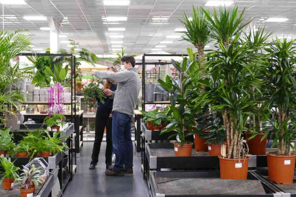 Relax: Checking out a plant purchase