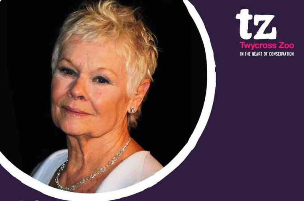 Impassioned plea: Dame Judi Dench on Twycross Zoo's survival