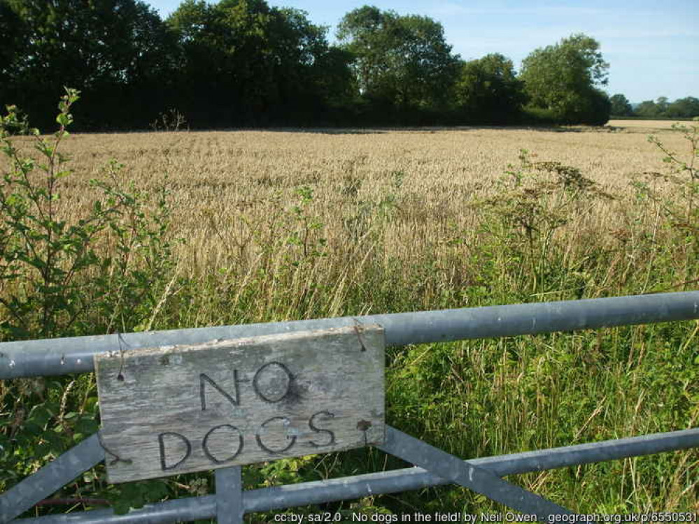 The field in Butleigh where the development was proposed The field in Butleigh where the development was proposed