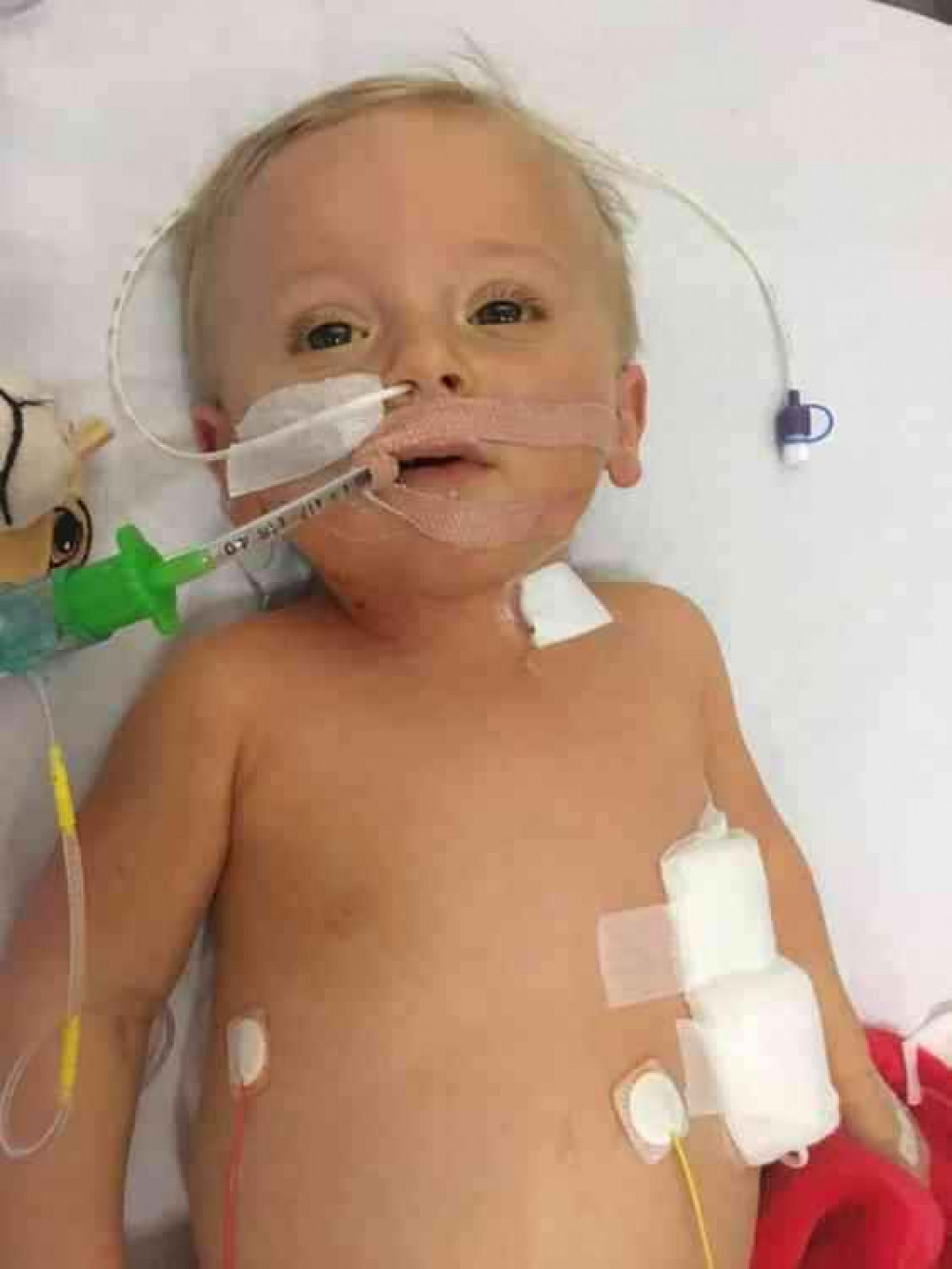 A photo taken of Reign last year when the family feared the worst. A photo taken of Reign last year when the family feared the worst.