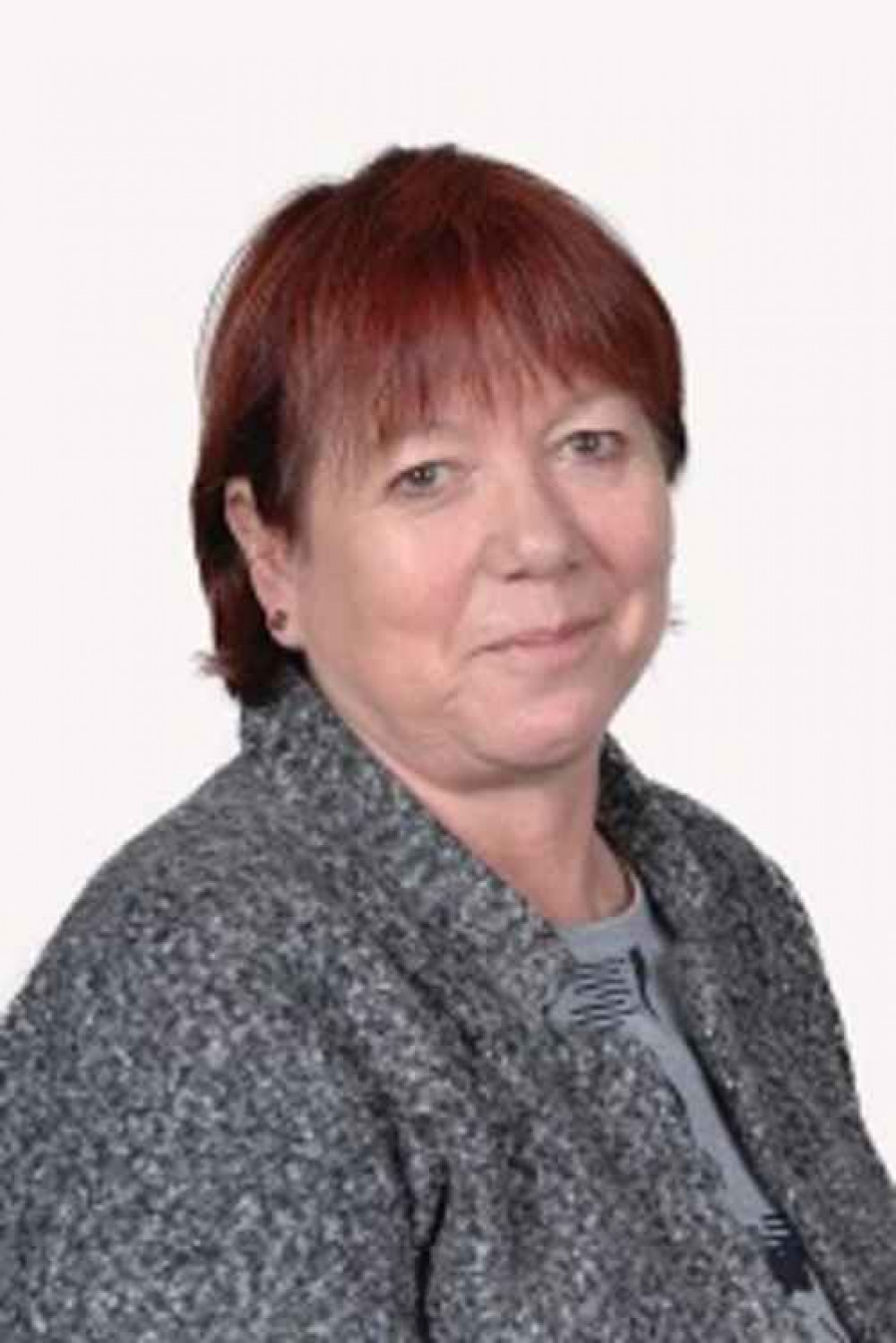 Vale Council Deputy leader Cllr Lis Burnett