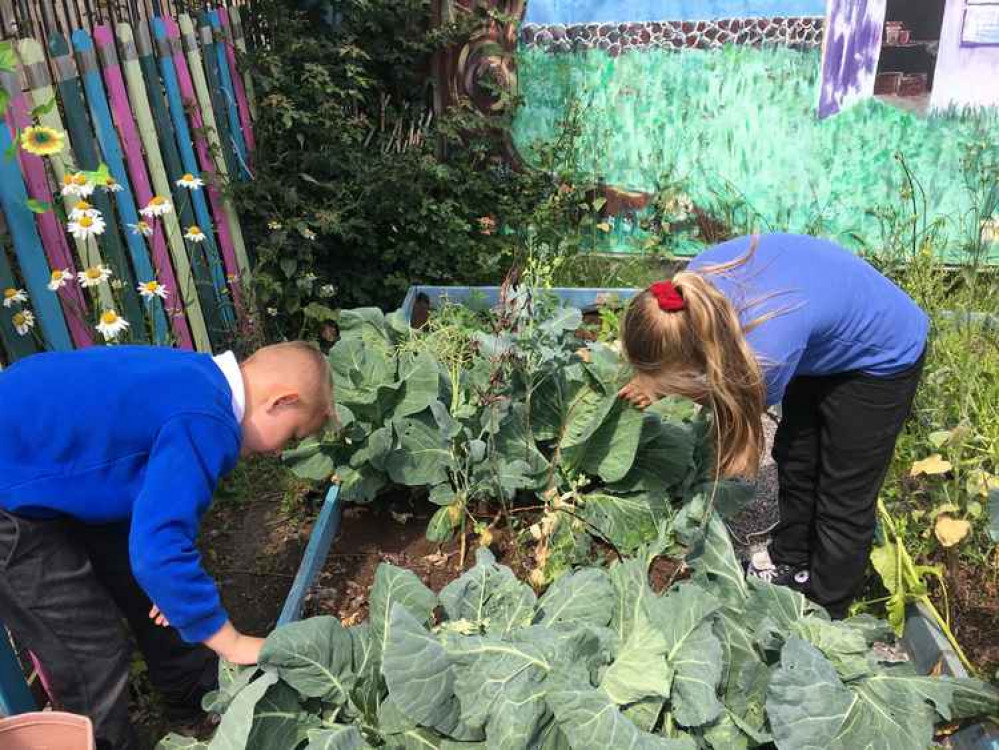 Pupils getting active at school