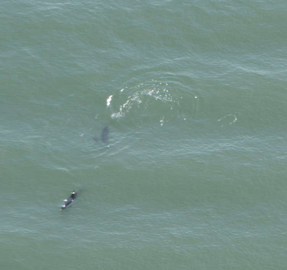 All photos via The National Police Air Service All photos via The National Police Air Service