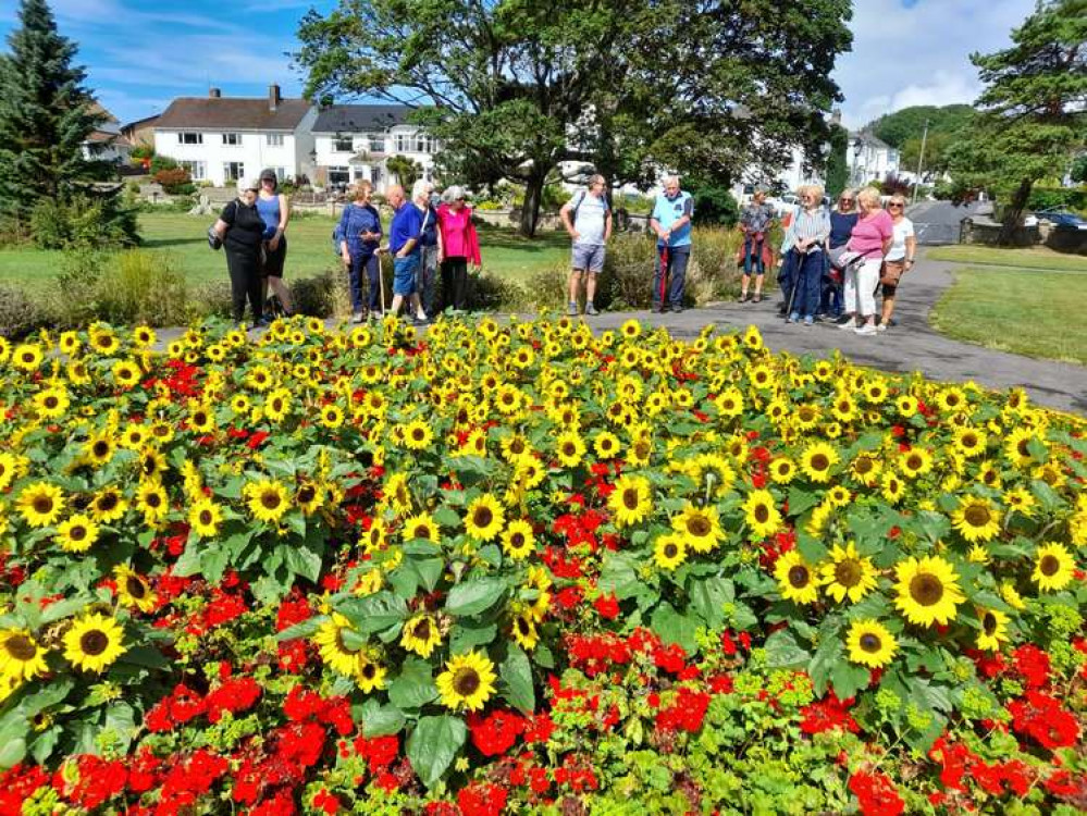 Taking in a floral display Taking in a floral display