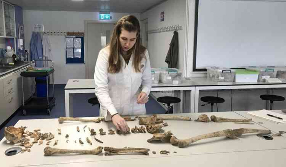 Working on the skeletal material at the University of Roehampton (photo University of Roehampton).