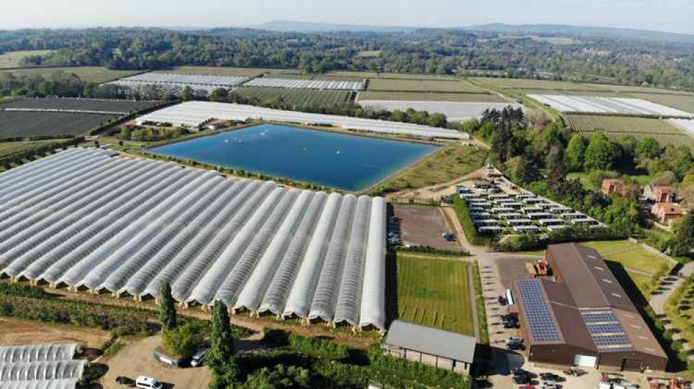 The Hall Hunter farm at Tuesley