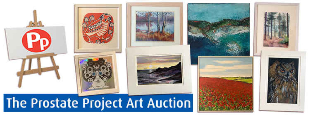 The Prostate Project online art auction.