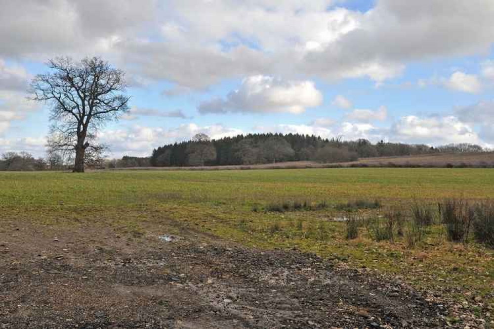 The site at Dunsfold where UKOG wants to drill for oil