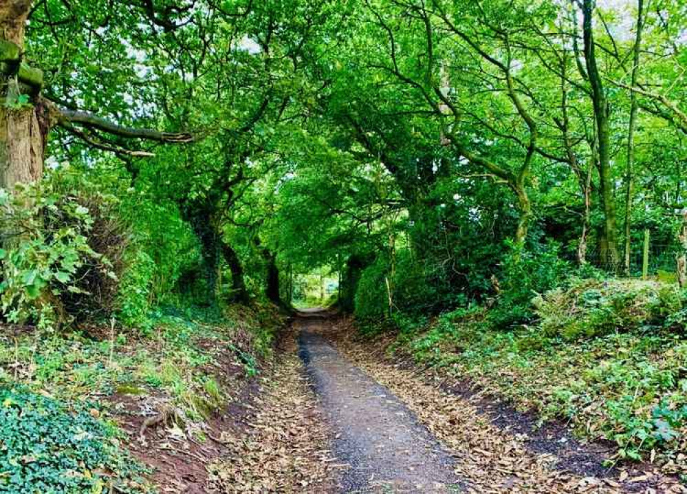 The Sandstone Trail path The Sandstone Trail path