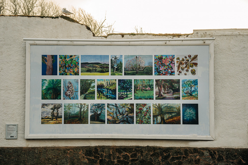 'Trees in Art' at the Ham car park in Sidmouth (photo credit: Sarah Hall)