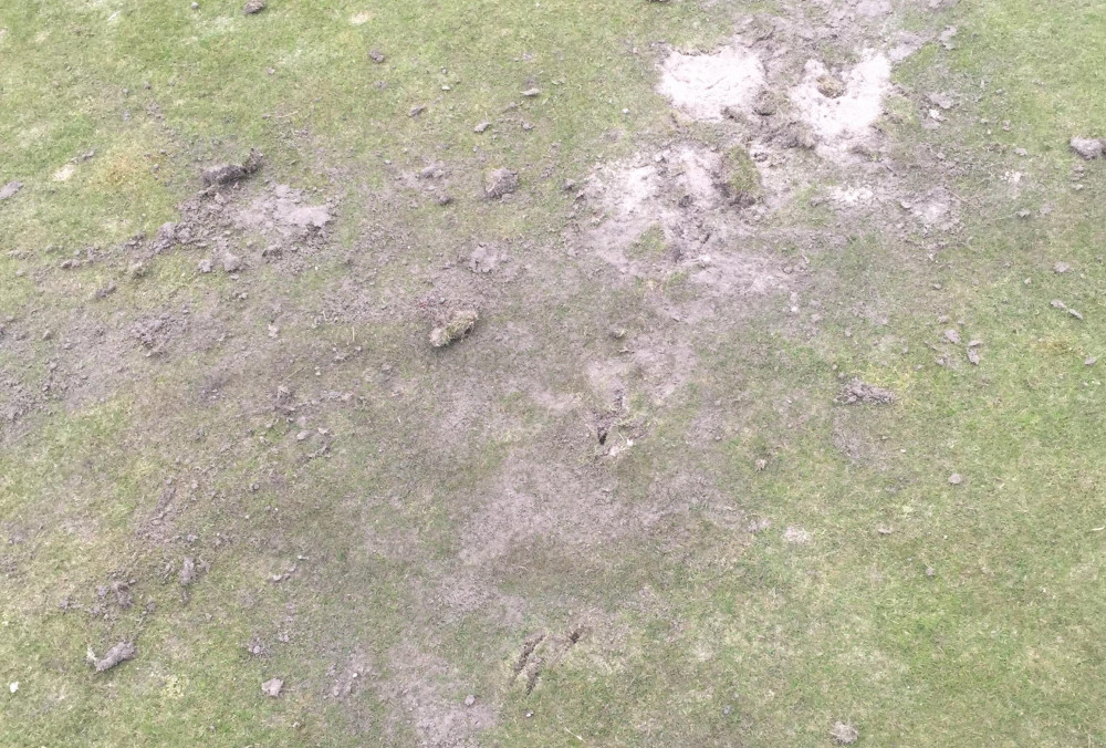 Damage to one of the greens (Photo: Alan Harwood)