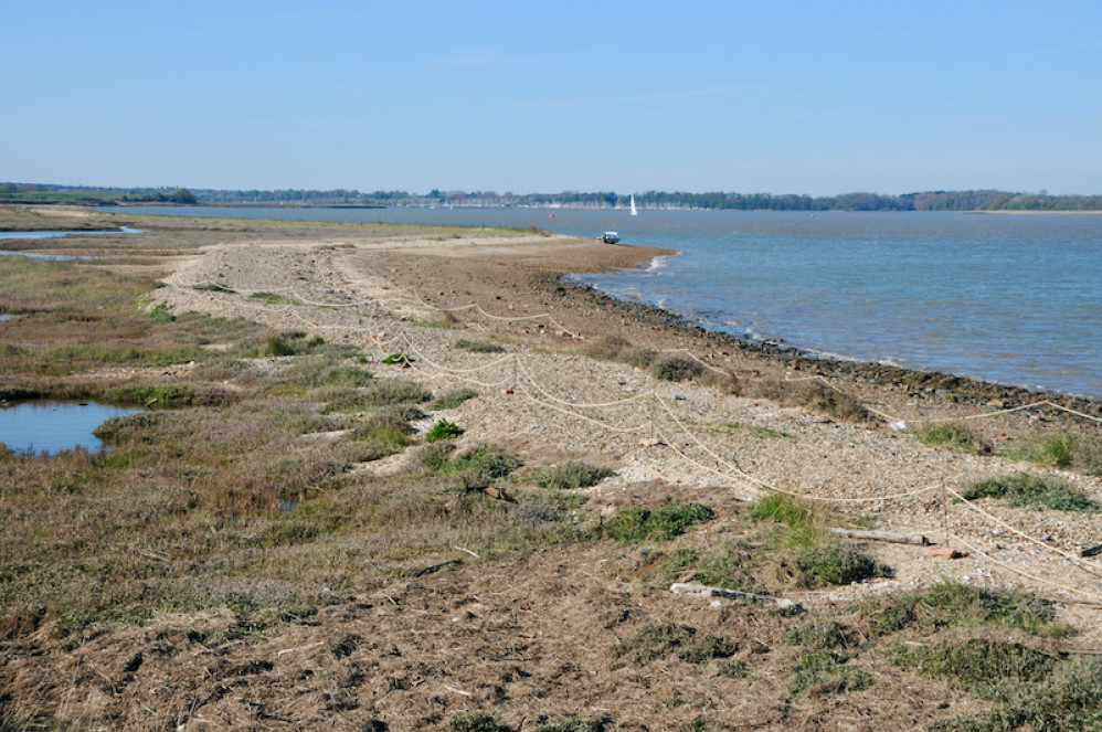 Section of beach roped off to protect nesting birds