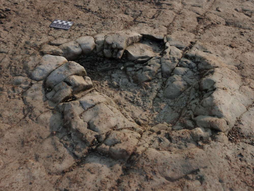 Dinosaur footprints were first found on Penarth Beach in 2009, but their identification was only confirmed over a decade later in late 2021. (Image credit: RNLI Penarth)