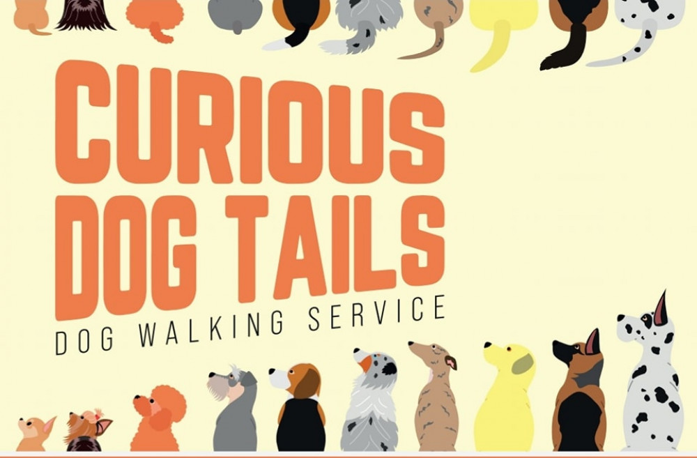 Curious Dog Tails Dog Walking Service