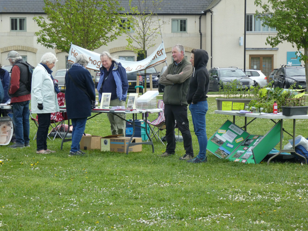 Earth Day in Dorchester