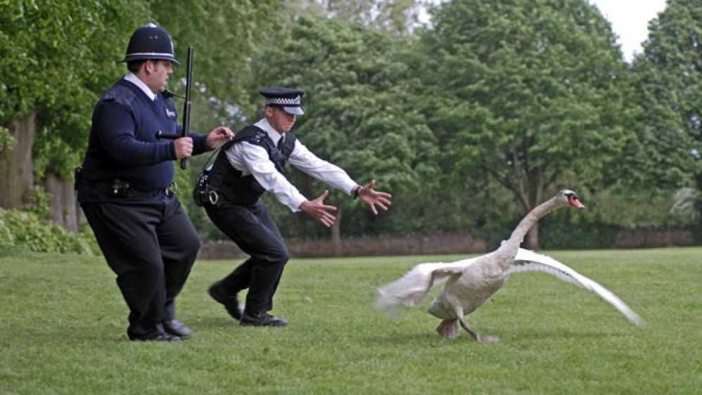 Outdoor screening of Hot Fuzz