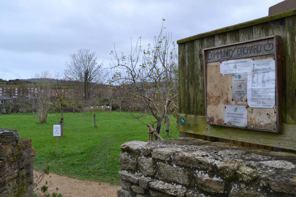 Bridport Community Orchard