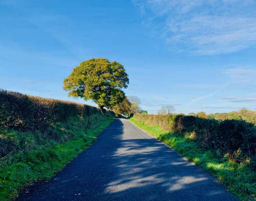 Tirley Lane Tirley Lane