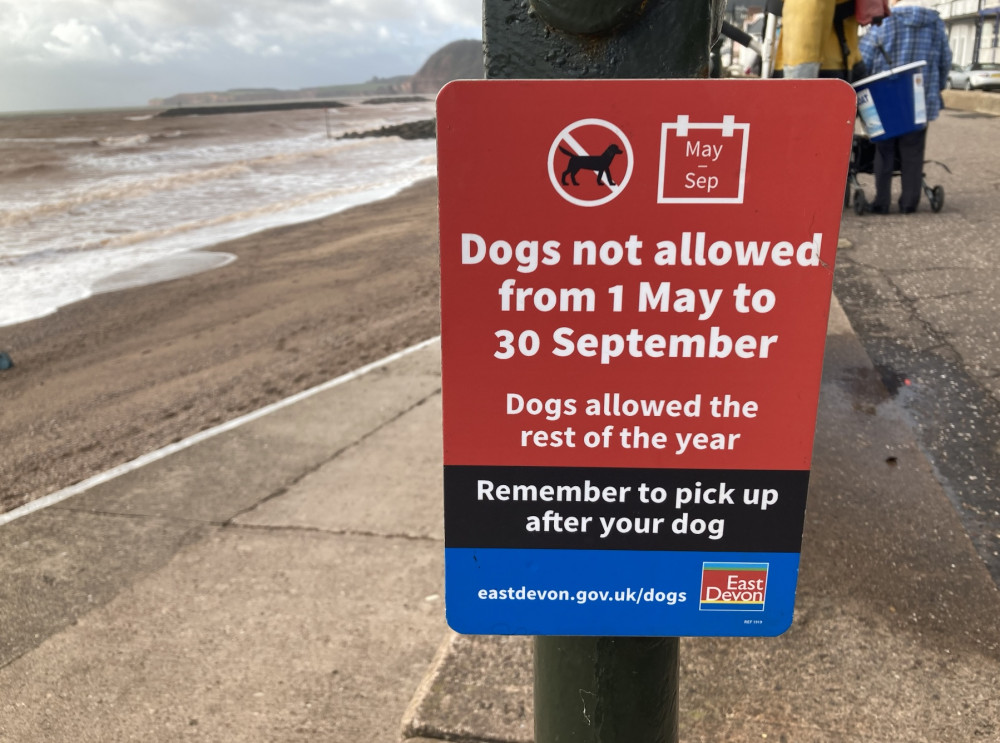 EDDC sign on Sidmouth seafront indicating dog beach ban duration (Nub News, Will Goddard)