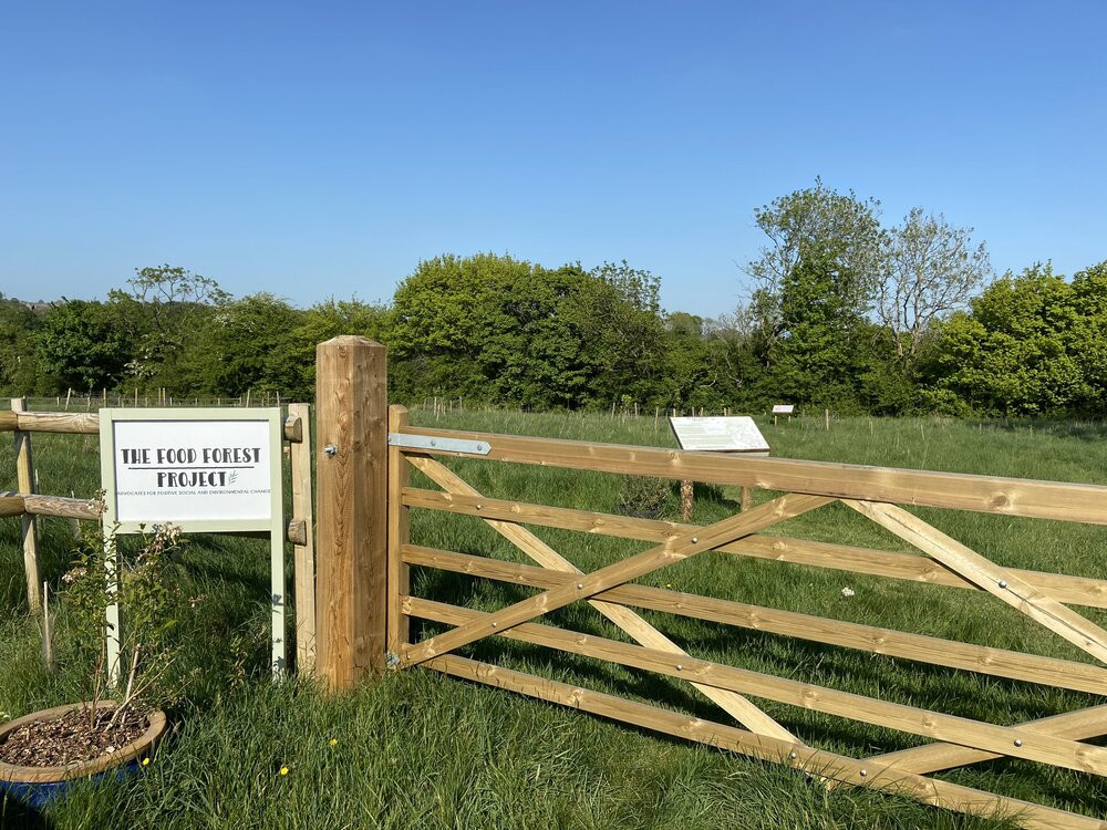 The Food Forest Project in Shepton Mallet