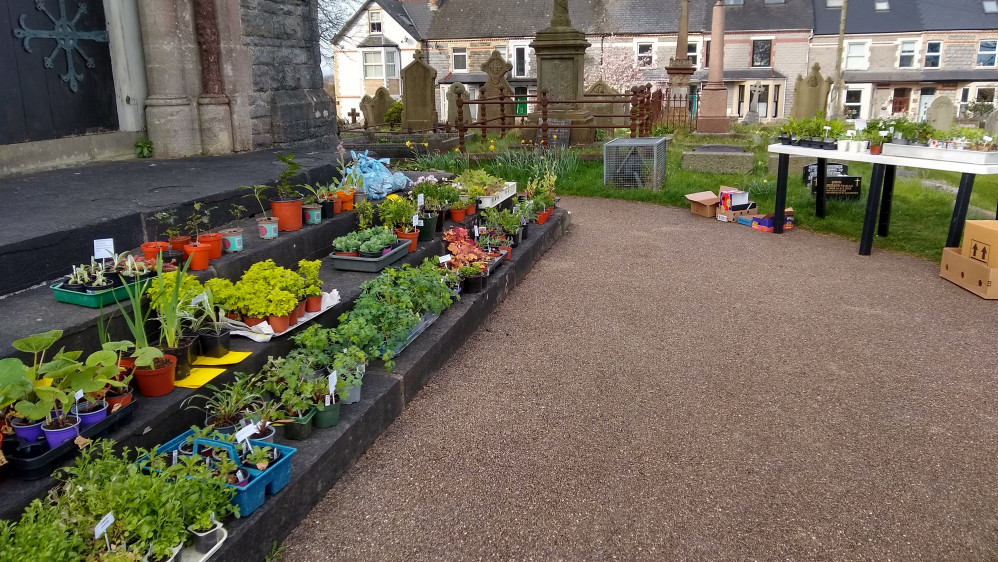 The group hopes to be equally successful this time and will have more plants, most of which are home-grown. (Image credit: St Augustine’s Churchyard Group)