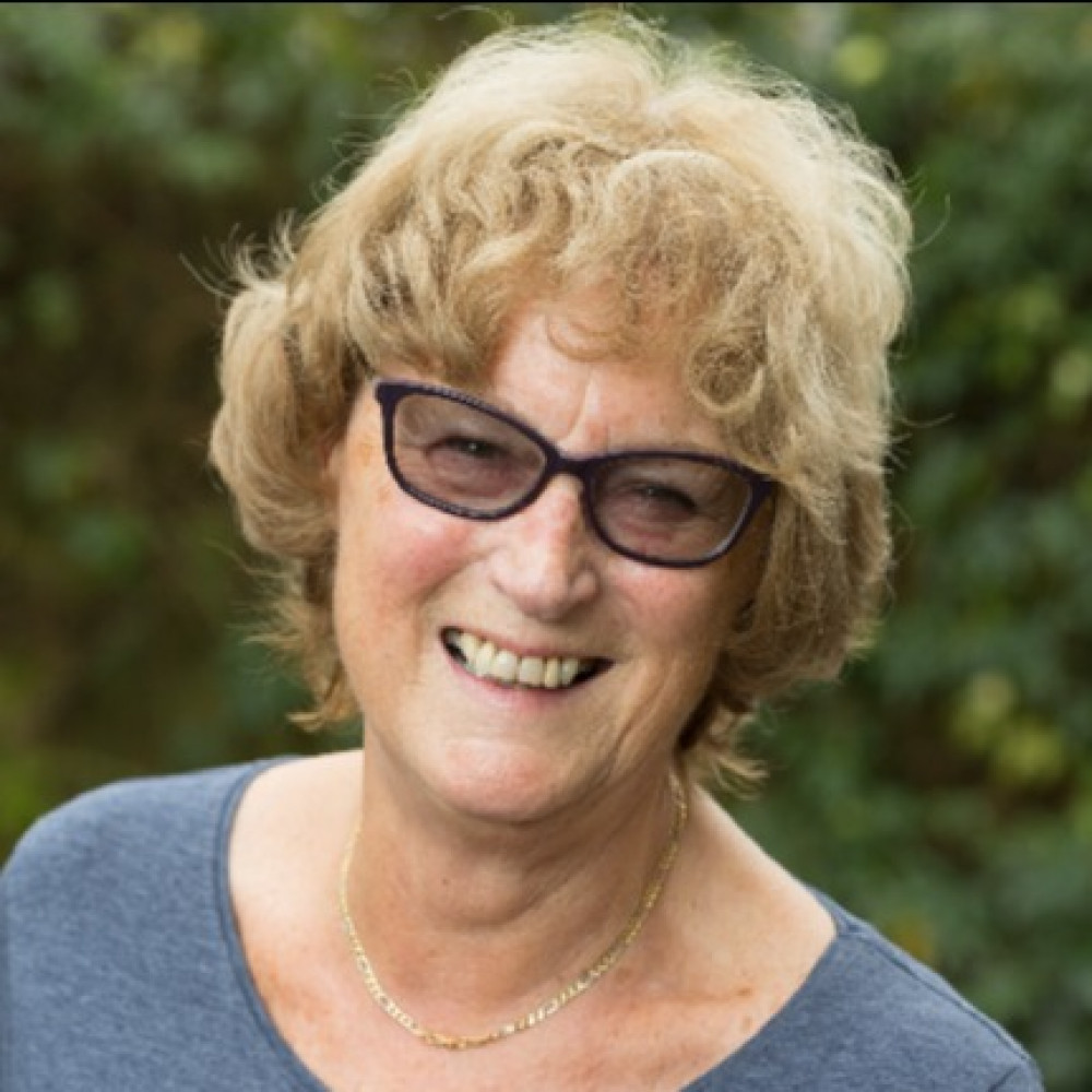 Judith Goodchild - Chair of the Healthwatch Somerset Board