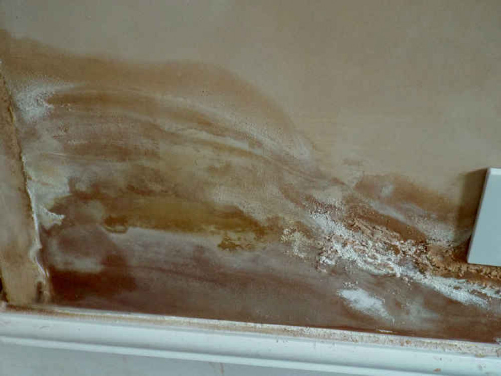 HGFC charity has failed to deal with damp at people's homes