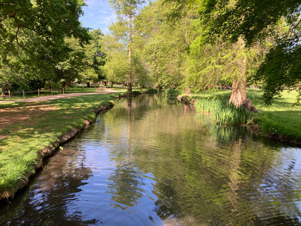 Waterfowl were attacked in the Woodland Gardens of Bushy Park on Saturday.