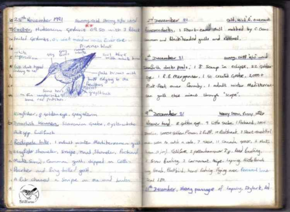 A birding notebook from 1981, with a sketch of a Hudsonian Godwit A birding notebook from 1981, with a sketch of a Hudsonian Godwit