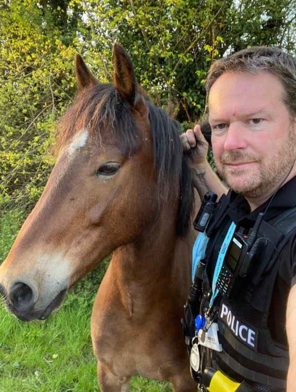 PC Dave Wright with runaway horse (picture credit: Suffolk police)