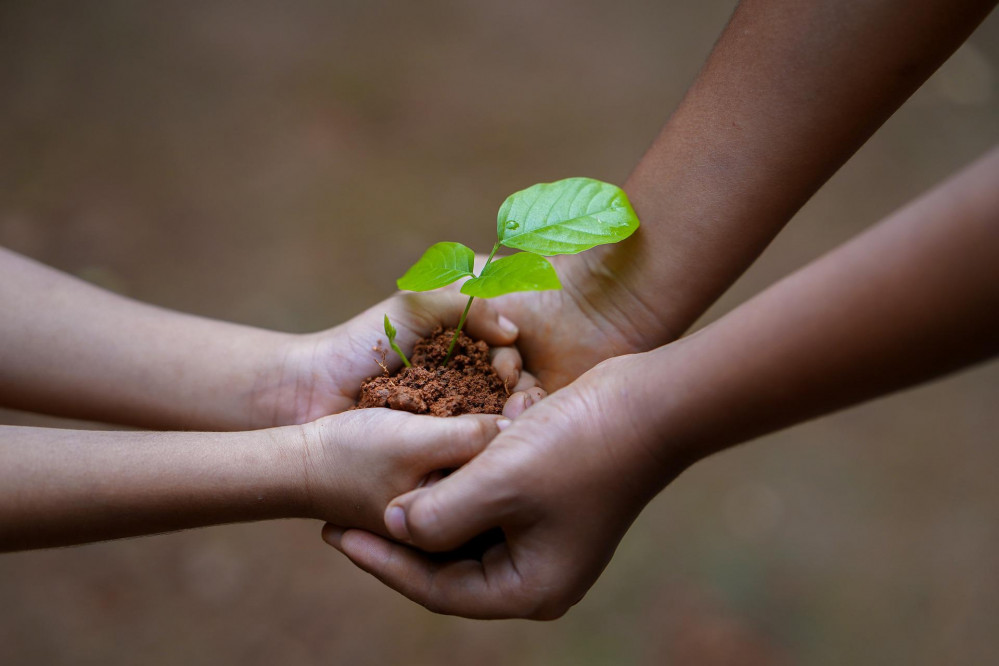 Seed swap