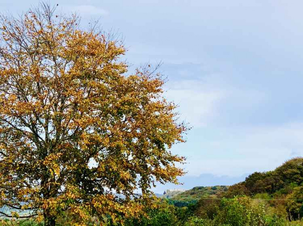 Can you spot Beeston Castle in the distance? Can you spot Beeston Castle in the distance?