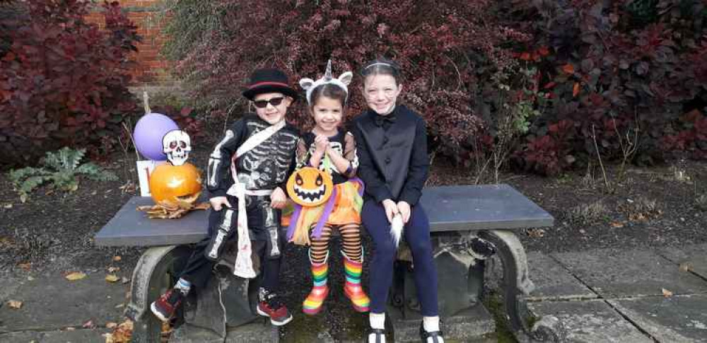 Children enjoying Arley Hall's Spooktacular Garden Trail Children enjoying Arley Hall's Spooktacular Garden Trail
