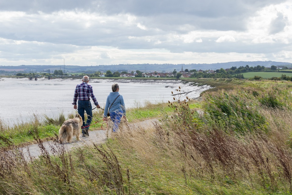 The new Somerset Wetlands NNR includes inland wetlands all the way to the coast, like WWT Steart Marshes (pictured) Photo credit WWT.jpg