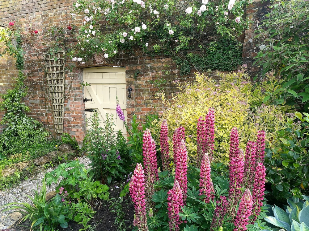 Hinton St George open gardens Hinton St George open gardens
