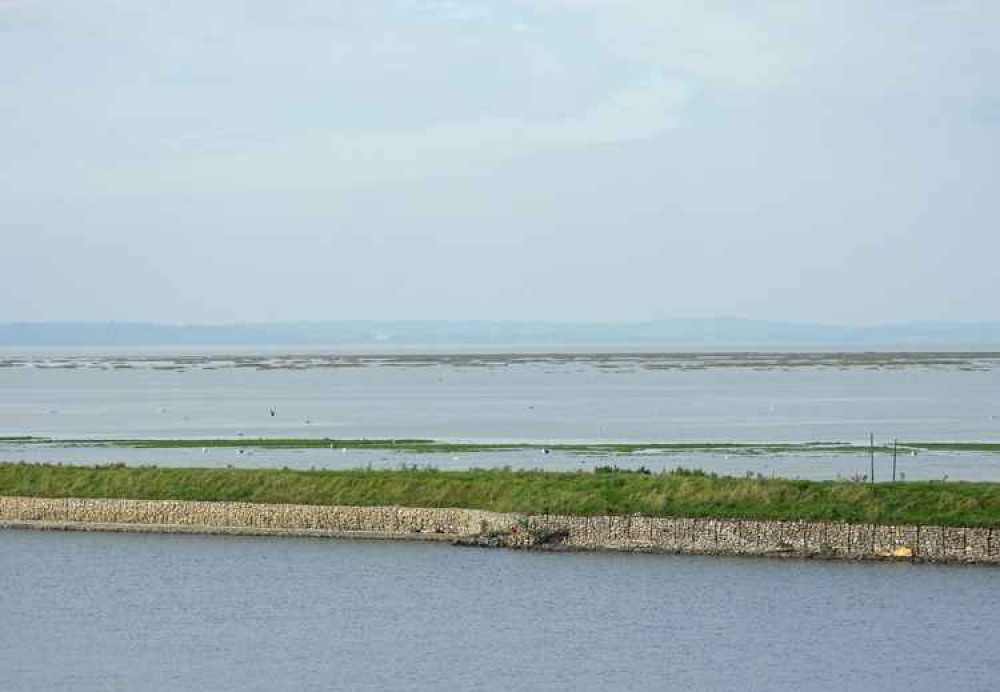 Frodsham Score Saltmarsh by Paul Ralston (Frodsham Marsh Bird Blog) Frodsham Score Saltmarsh by Paul Ralston (Frodsham Marsh Bird Blog)