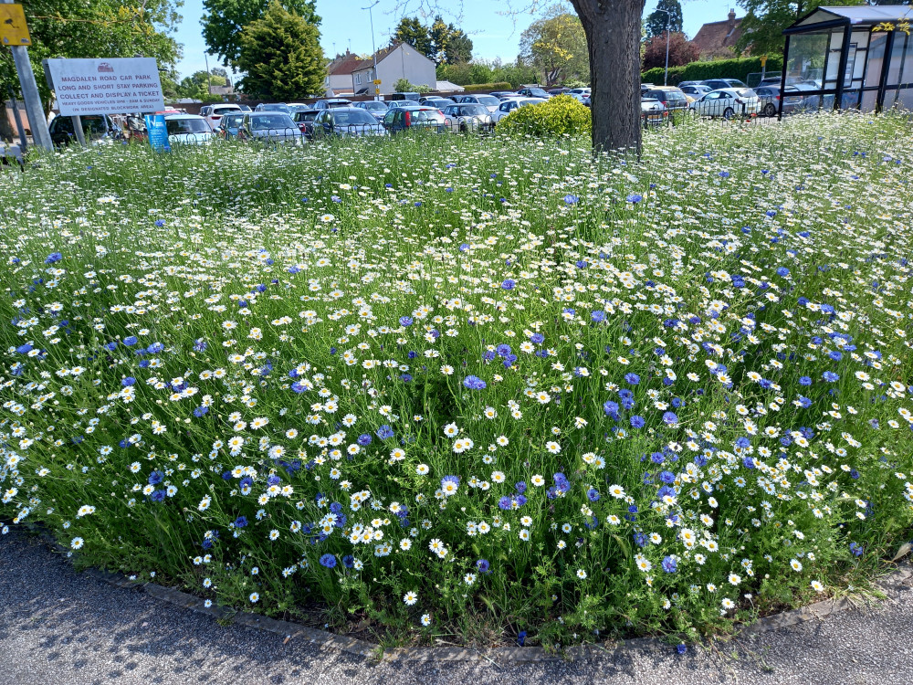 Free car parking hours in Hadleigh will be cut (Picture credit: Nub News)