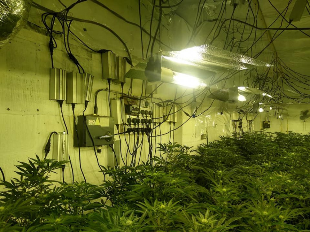 The cannabis farm was discovered by police last Friday, Photos: North West Leicestershire Police