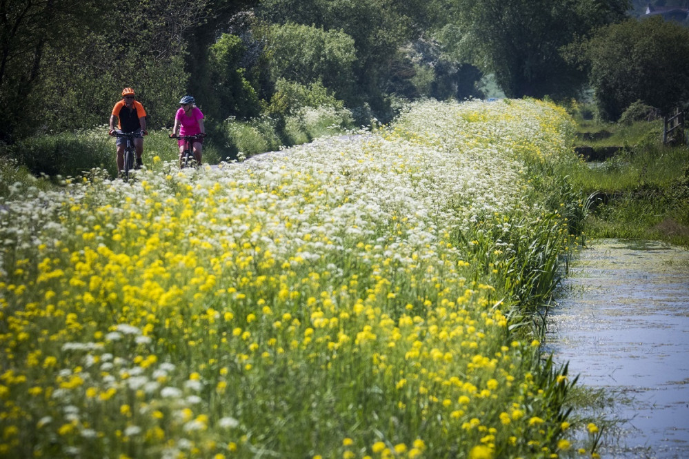 Cyclists enjoying the fine weather - Catcott, Somerset levels by Lance Bellers