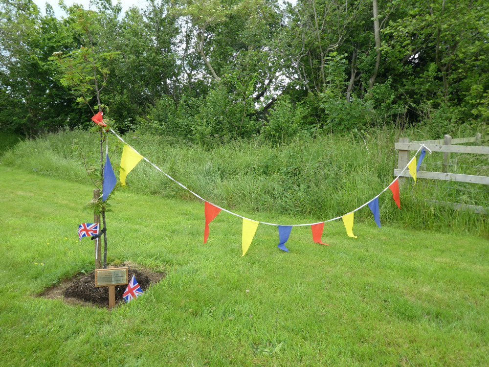 Jubilee celebrations in Bradpole