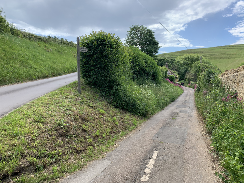 Go down the lane on the right, signposted 'Swannery'